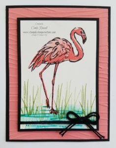 Fabulous Flamingo.0617