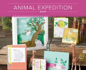 Animal Expedition.blog