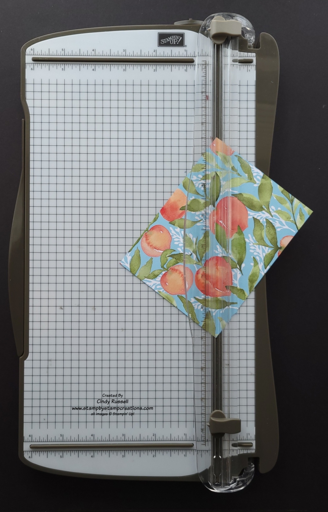 Angled Pocket Fun Fold Card - Stamp By Stamp Creations